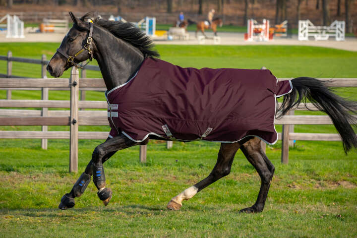 Horseware AMIGO Outdoordecke Hero 50g Ripstop Horseware AMIGO Outdoordecke Hero 50g Ripstop